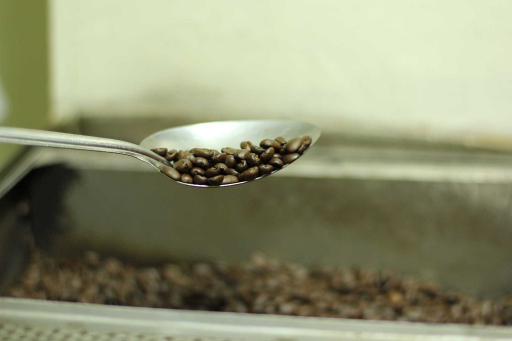 Roasted Civet Coffee